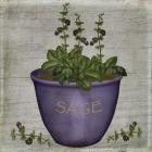 Herb Sage