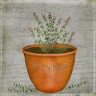 Herb Thyme