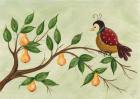 Partridge In A Pear Tree