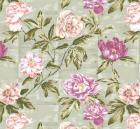 Tree Peony Celadon