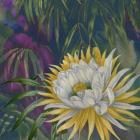 Night Bloom