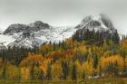A Rocky Mountain Autumn