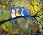 Three Little Bluebirds