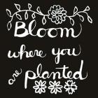 Bloom