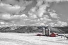 3 Silos BW