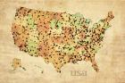 Usa Crystallized County Map