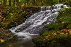 Abbey Pond Cascades