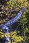 Moss Glen Falls In Autumn