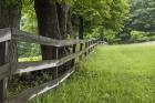 Split Rail Fence