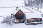 Snow Day on the Farm