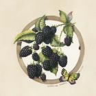 Blackberries