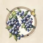 Blueberries