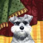 Schnauzer