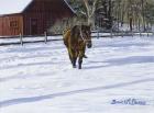 Afternoon Stroll