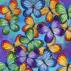 Butterflies