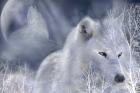 White Wolf