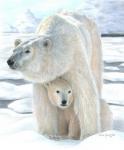 Polar Love