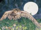 Eagle Owl