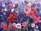 Poppies and Sweet