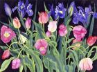 Tulips And Irises