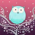 Spring Owl