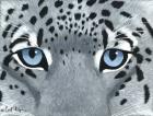 Snow Leopard Eyes