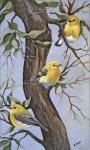 Little Yellow Birds