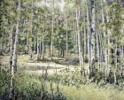 Late Summer