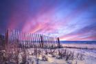 Beach Fences