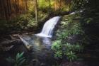 Morning Glow At The Waterfall