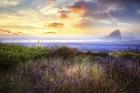 Seastacks At The Dunes