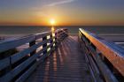 Stars On The Boardwalk