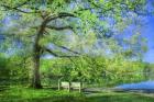 I Will Wait for You in Summer
