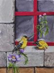 Gold Finches