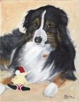 Collie Sal and toy