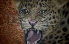 Leopard Attack