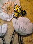 White Poppy with Butterfly