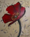 Single Red Poppy