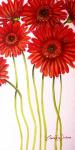 Red Gerberas