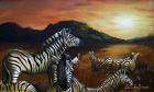 Zebra Sunset