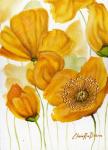 Yellow Poppies