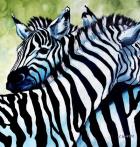 Zebra Love