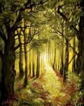 Sunlit Forest Path