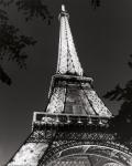 Eiffel Tower at Night