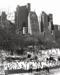 Wollman Rink