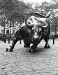 Wall Street Bull Sculpture 1