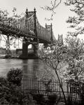 59Th Street Bridge