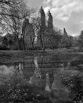 Central Park Reflections