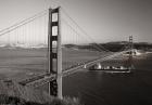 Golden Gate Toned