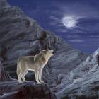 Wolf Moon